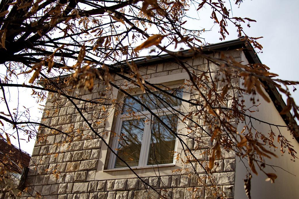 Apartments Matijasevic Nikšić Eksteriør bilde